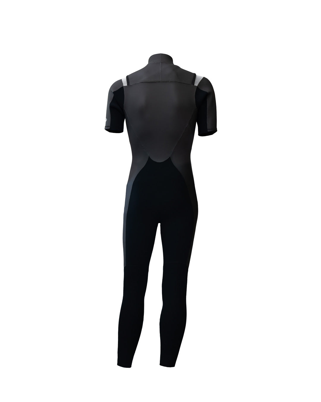 シーガル – Hyper Okinawa | Carvy Wetsuits